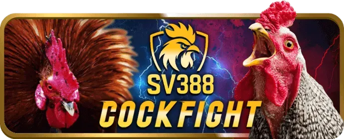 Cá cược thể thao 88king casino